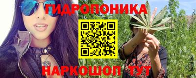 бошки Свободный